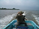 2005-06-27 010.JPG